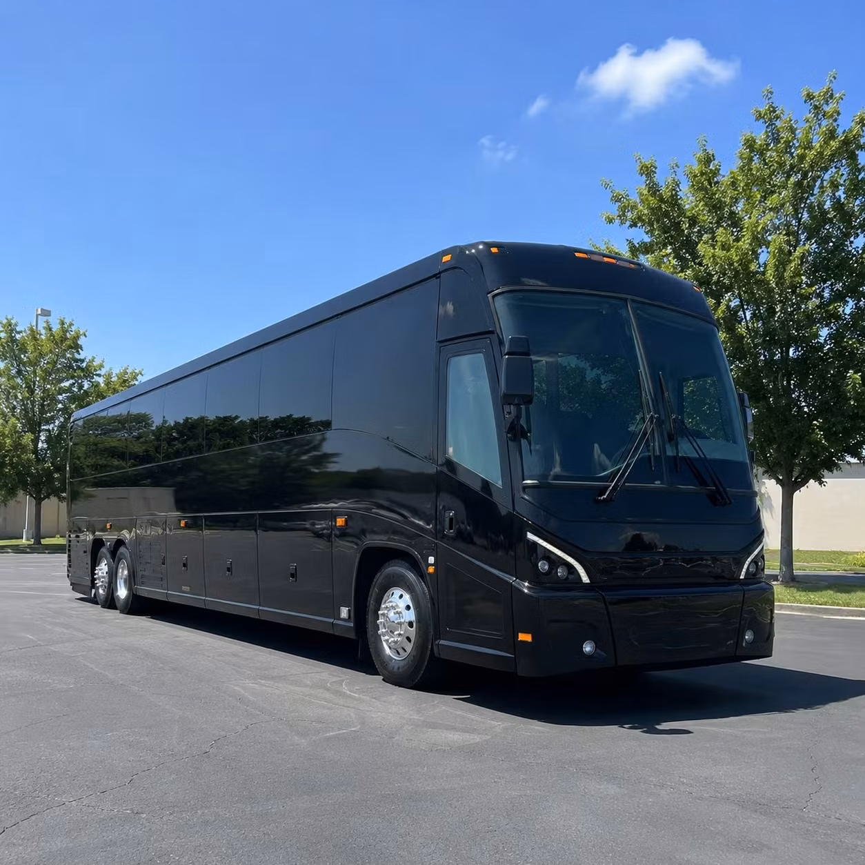 need a bus for a corporate group flying out of south florida